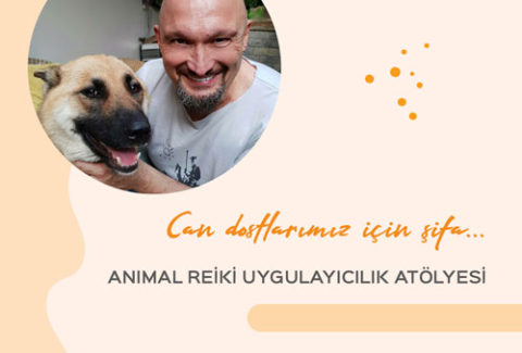 Animal Reiki Hayvan Dostlarımız için Şifa