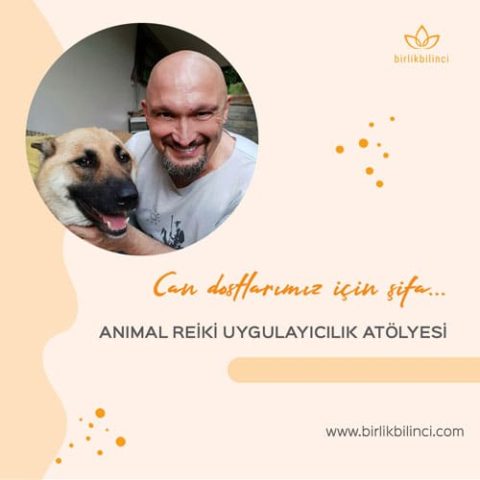 Animal Reiki Hayvan Dostlarımız için Şifa