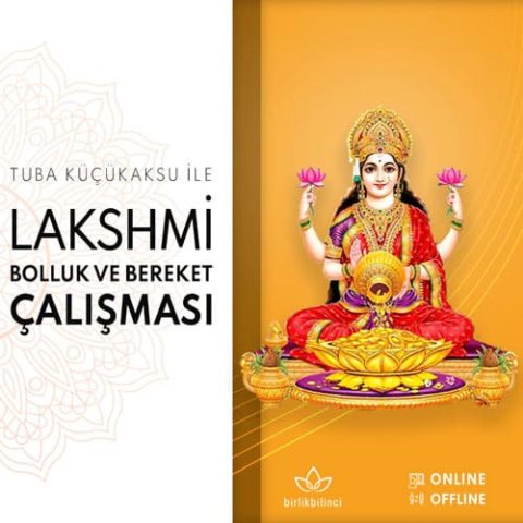 Lakshmi Bolluk ve Bereket Çalışması