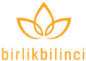 Birlik Bilinci