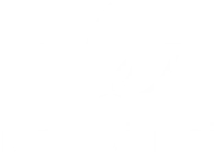 Birlik Bilinci