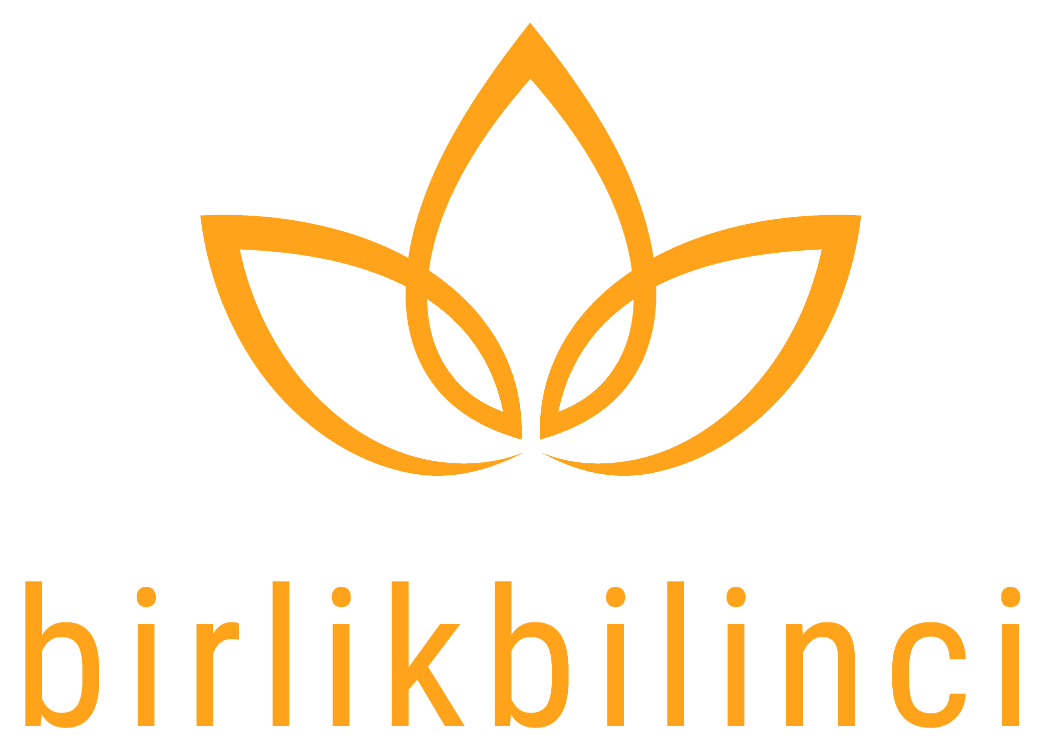 Birlik Bilinci