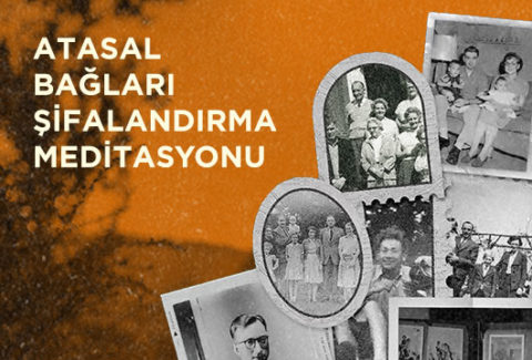 atasal baglari sifalandirma 02