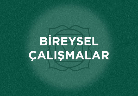 bireysel calismalar 01